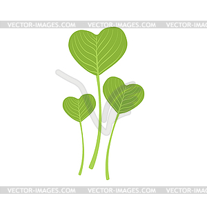 Green leaves in form of heart - vector image