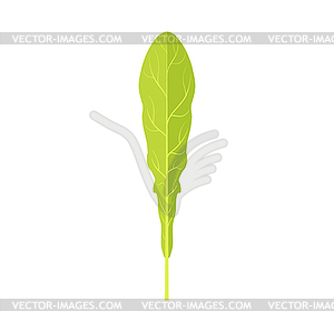 Green leaf of dandelion - vector clipart / vector image