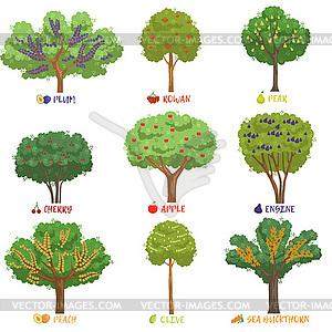 Разные фруктовые деревья сортируются с наборами имен, садом - стоковый векторный клипарт