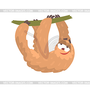 Cute cartoon sloth character hanging on tree branch - vector image