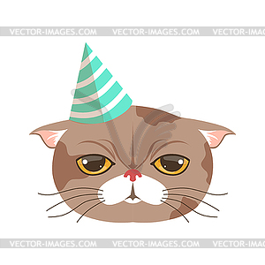 Cute cat party hat, funny cartoon animal character - vector clip art