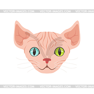 Cute sphinx cat with eyes of different colors, funn - vector clipart