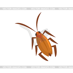 Brown cockroach insect cartoon - vector clipart