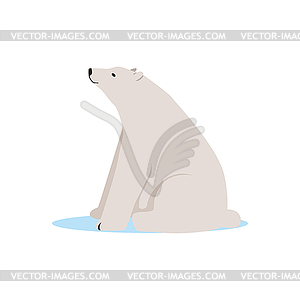 White polar bear animal, Arctic fauna species - vector image