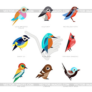 Different birds set, lilac breasted roller, - vector image