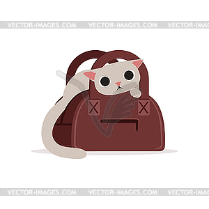 Lovely funny white cat in brown bag, home pet - royalty-free vector clipart