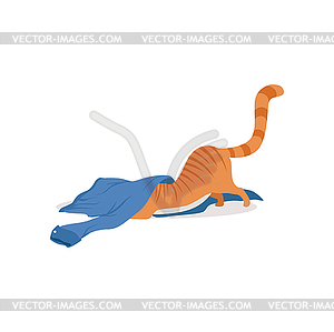 Cute funny red cat playing with blue shirt - vector image