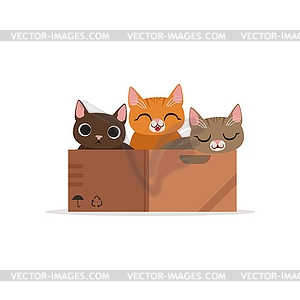 Three funny cats of diffferent colors in box - vector clip art