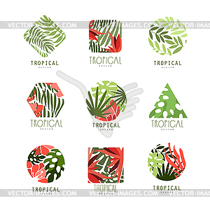 Set of geometric tropical logo with leaves and - vector image