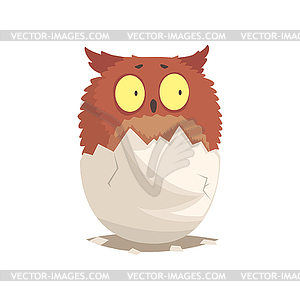 Adorable newborn brown owlet in broken egg shell - vector clipart