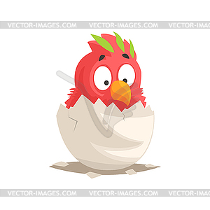 Cute red parrot baby hatching of egg - vector image