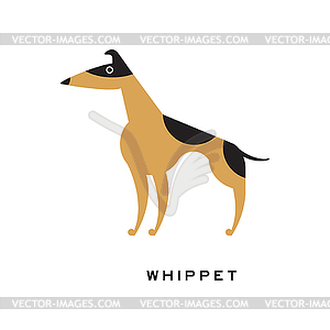 Black and brown whippet character - vector image