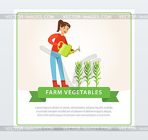 Woman farmer character watering corn plants - vector image