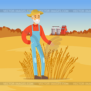 Mature farmer man harvesting wheat, agriculture - vector image