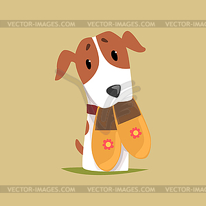 Jack russell puppy character with slippers in its - vector clipart