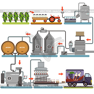 Wine production process, production beverage of - vector image