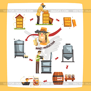 Honey production process stages, beekeepers - vector clip art