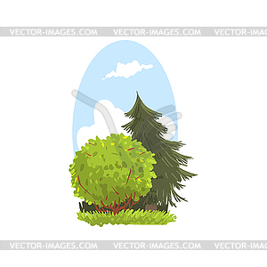 Подробная ландшафтная сцена с вечнозеленым пихтом и - клипарт в векторном виде