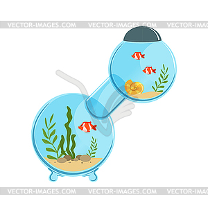 Multi-room aquarium in round shape with decorative - vector clip art