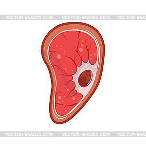 Human cell with single nucleus under microscope. - vector image