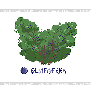 blueberry bush clip art