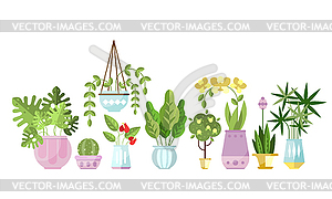 Set of flat style colorful houseplants in pots - vector clip art