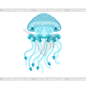 Light blue jellyfish, phyllorhiza punctata species - vector clipart