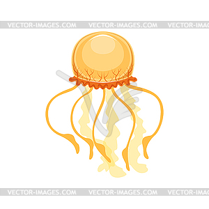 Jellyfish, species of underwater life - vector EPS clipart