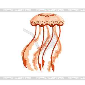 Jellyfish chrysaora colorata species of underwater - vector image