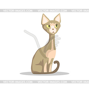 Cartoon hairless cat with yellow eyes, thin tail an - vector image