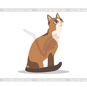 Мультяшный персонаж коричневого кота с голубыми глазами, светлый - изображение в векторе / векторный клипарт