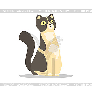 Cute portrait of short-haired cat with black - vector image