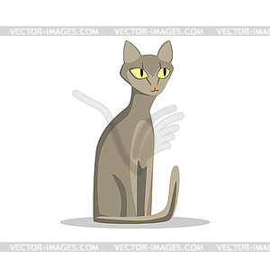 Russian blue cat with short hair and big yellow - vector EPS clipart