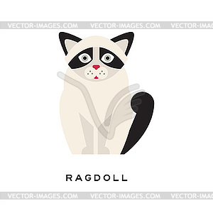 Cute portrait of ragdoll cat. Cartoon purebred - vector clipart