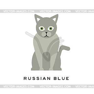 Russian blue cat. Adorable short-haired feline - vector clip art