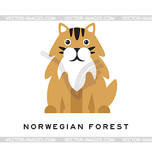 Norwegian forest cat. Fluffy domestic animal with - vector image