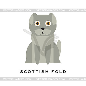 Adorable scottish fold cat. Lop-eared kitten with - vector image