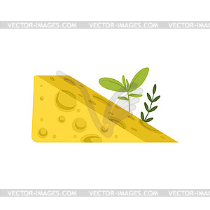 Triangular piece of Swiss cheese with green herbs. - vector EPS clipart