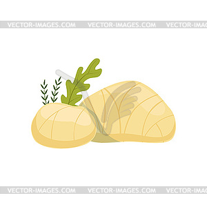 Mozzarella cheese and green herbs. Natural dairy - vector image