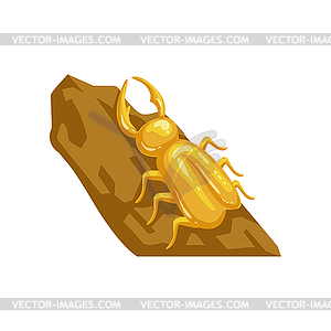 Golden beetle deer, horned insect - vector image