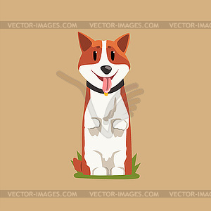 Joyful red-haired corgi standing on hind legs. Pupp - vector clipart