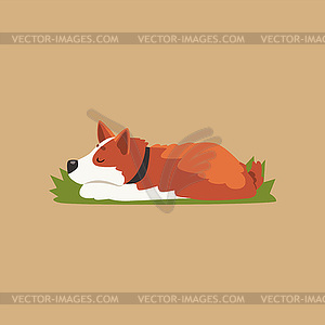 Colorful with cute sleeping corgi. Cartoon - vector image