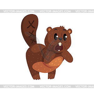 Shocked little beaver standing . Cartoon wild anima - vector image