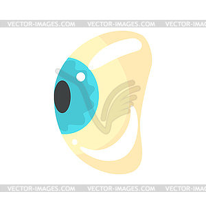 Human blue eye, ophthalmology concept cartoon - vector clipart / vector image