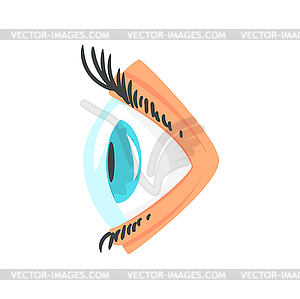 eye side view clipart