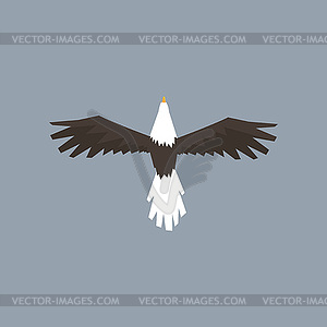 North American Bald Eagle character flying, symbol - vector clipart