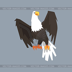 North American Bald Eagle, symbol of USA - vector image