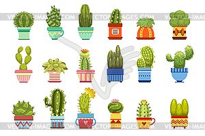 Cactus In Pot Set - vector clipart