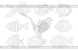 Tropical Fish Set Adult Zentangle Coloring Book - vector clipart / vector image