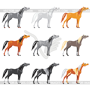 Set of horses - color vector clipart